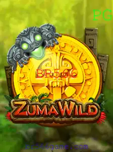 ZumaWild: Descubra a Aventura com BR566